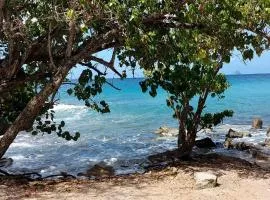 Bel Bonjou, Votre maison tropicale au cœur du Sud Martinique