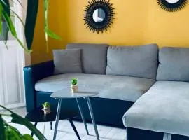 Cosy suite en centre ville