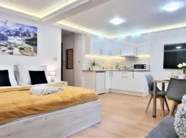 VIP Apartamenty Tetmajera Centrum