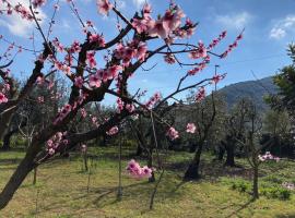 Casa degli Ulivi - Alloggio turistico, apartma v mestu Monte San Biagio