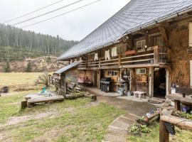 Schwörerhof, hotel Eisenbach Ski Lift környékén Eisenbachban