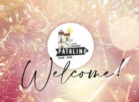 Apartman Patalino, hotel with parking in Selina