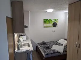 Útulné studio u Mariánského údolí v Brně - Líšni
