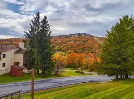 Mountain Village 5H Unit B