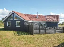 Holiday Home Syrenvej Skjern Ix