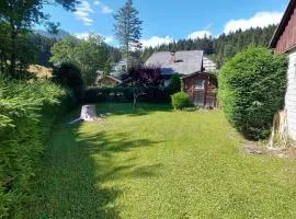 Holiday home in Bad Mitterndorf - Steiermark 41125