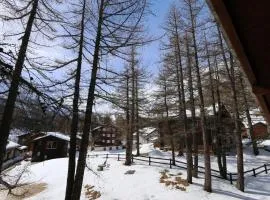 Chalet La Sapinière