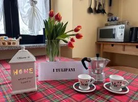 i tulipani
