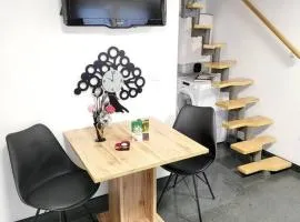 R.I.Š.-Rest in Šiška Duplex