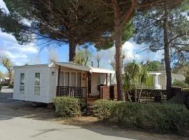 Mobile-home La Carabasse FO88