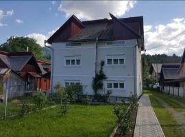 Casa Tudor-Nicolae，博爾沙的飯店