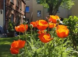 City Appartement mit Garten, zentral und trotzdem ruhig