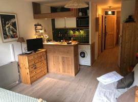 T2ideal vue imprenable sur la guisane