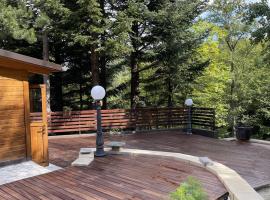 Chalet Leonard House in the wood, hotel a Pennabilli