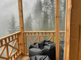 Cloudwalk Treehouse, hotel con jacuzzi en Jibhi