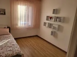 Mésange
