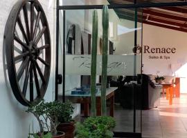 Renace Suites, hotel cerca de Aeropuerto Internacional Coronel FAP Carlos Ciriani Santa Rosa - TCQ, Tacna