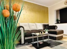 SHoliday Studio Apartament modern cu parcare gratuită în Timișoara
