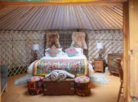 HAYNE BARN ESTATE - 2 Luxury heated Yurts - private hot tub- private bathroom and kitchen, viešbutis mieste Haidas