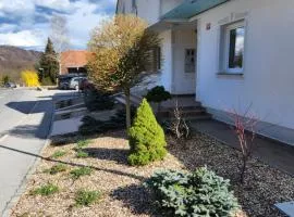 Apartma Nika