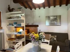 I Mandrioli, una casa immersa nella natura.