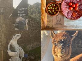 Experience Alpacas in Andalucia, olcsó hotel Córdobában