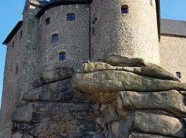 Burg Falkenberg in der Oberpfalz, hotel v destinaci Falkenberg