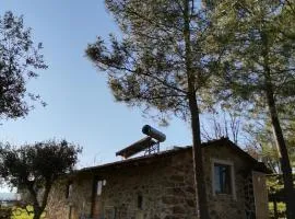 Casa Cabeço do Barragão