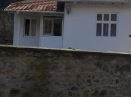 BELA VILA MIJALKOV, holiday rental in Gornja Držina