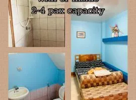 Momsys Treetop Staycation