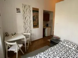 Historic Apartment