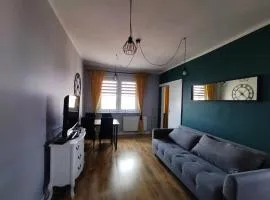 Apartament przy Zamku Krzyżackim