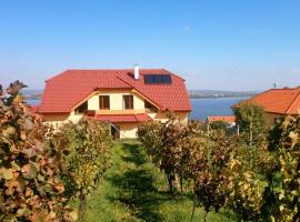 Ubytování Pálavská Riviéra, hotel v destinaci Pavlov