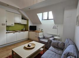 Apartamento Ático Canfranc Estación