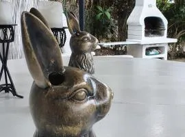 DomusAuroom, RELAX nel cuore della Versilia - Pet Friendly
