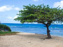 House of Erabo, guest house in Runaway Bay