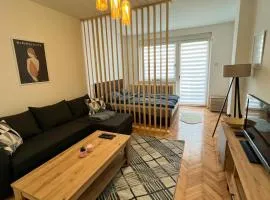 Apartman MS