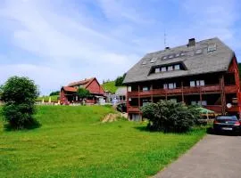 Hotel Sonnenmatte Titisee B und B nahe Badeparadies