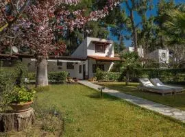 Pine Villa - NG Sani Villas