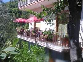 La Margherita di Teriasca