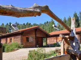 Cozy studio in Figueiró dos Vinhos 56 m² with shared pool