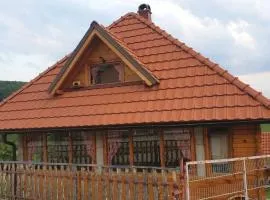 "Hamdina Kula"Household in Vrševo village