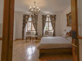 Illo Tempore - Ultracentral Apartment, holiday rental in Sighişoara