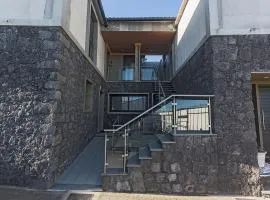 Os Ninhos dos Avôs