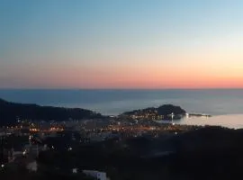 Una terrazza sul golfo