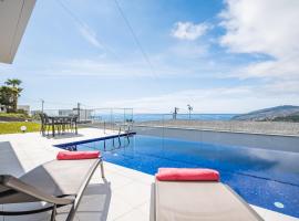 Villa Camelia, vacation home in Arco da Calheta