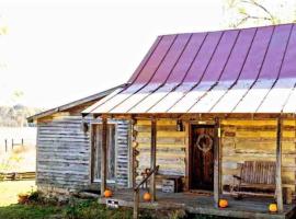 Historic 1850's Cosmic Cabin, hotel with parking in Tyro