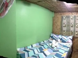 Alexandra's Transient Haus