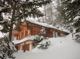 MOUNTAINRANGER - Lodge - ski in & ski out，位于上陶恩的山林小屋