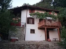 KAZAVIEW